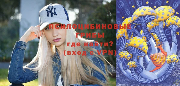 прущие грибы Арсеньев