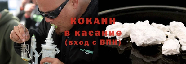 прущие грибы Арсеньев