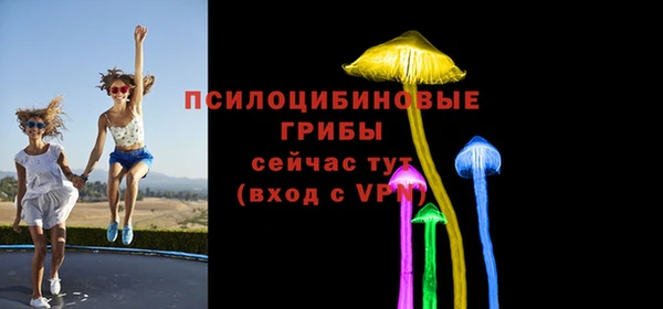 прущие грибы Арсеньев