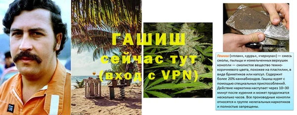 прущие грибы Арсеньев
