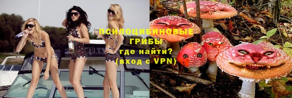 твердый Армянск