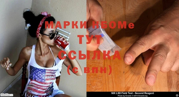 прущие грибы Арсеньев