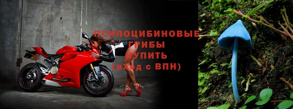 твердый Армянск