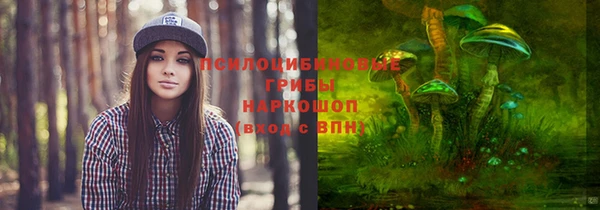 прущие грибы Арсеньев