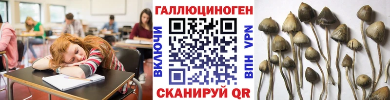 даркнет сайт  кракен зеркало  Галлюциногенные грибы Psilocybine cubensis  Прохладный 