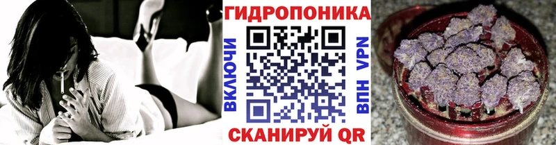 Бошки Шишки THC 21%  mega ССЫЛКА  Прохладный 